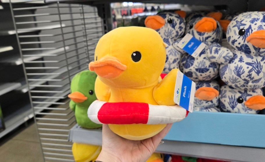 hand holding duck with innertube plush 