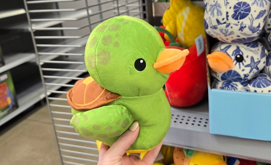 hand holding turtle duck plush 