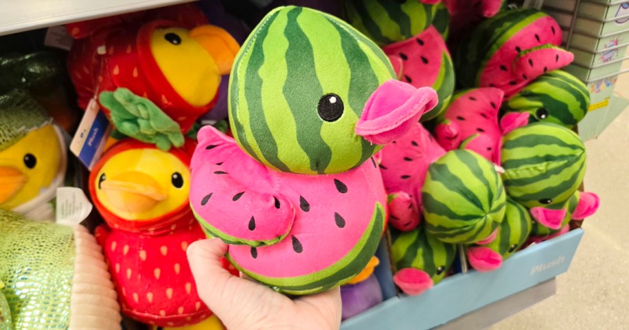 hand holding watermelon duck 