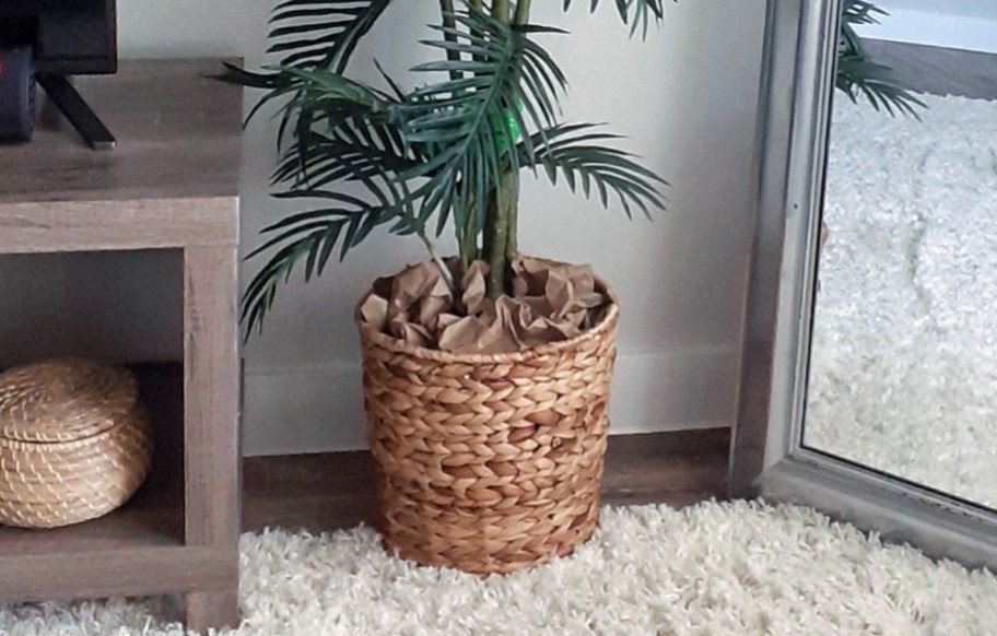 water hyacinth basket being used as a planter