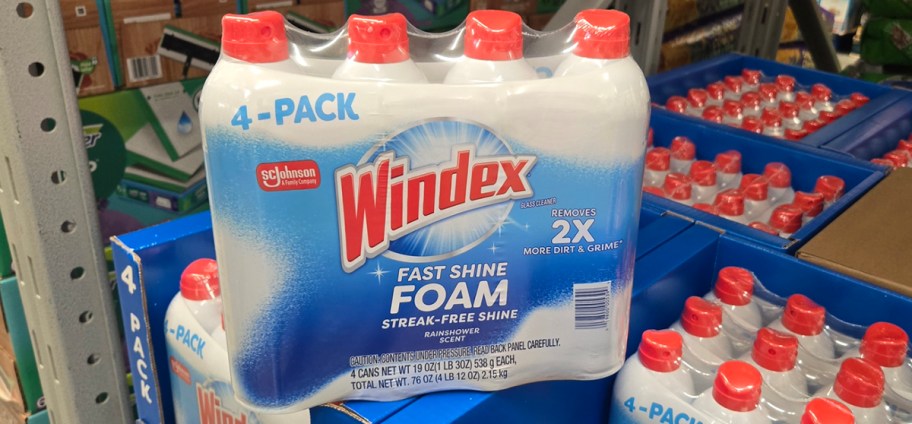 windex foaming cleaners 4 pack