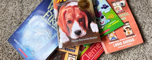 pile of childrens chapter books on floor