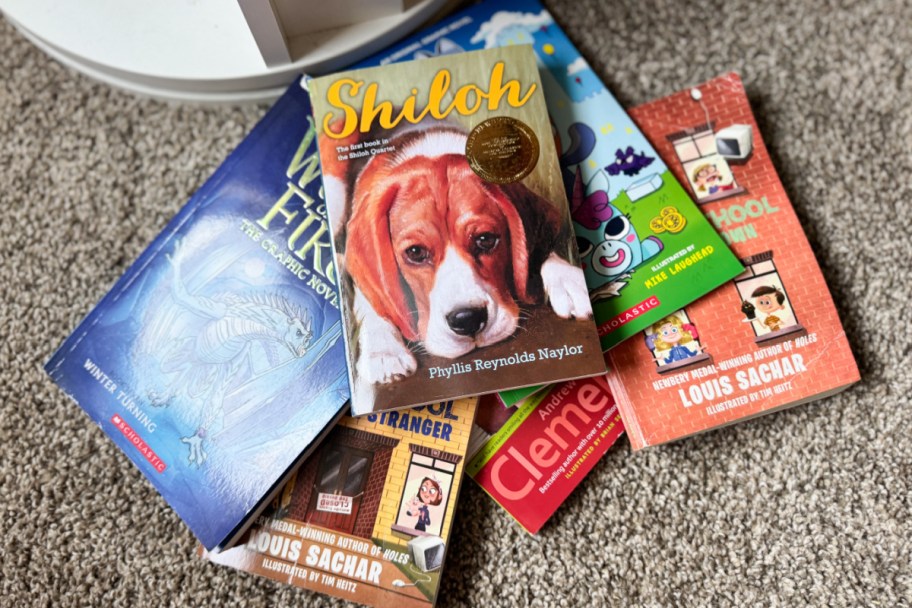 pile of childrens chapter books on floor