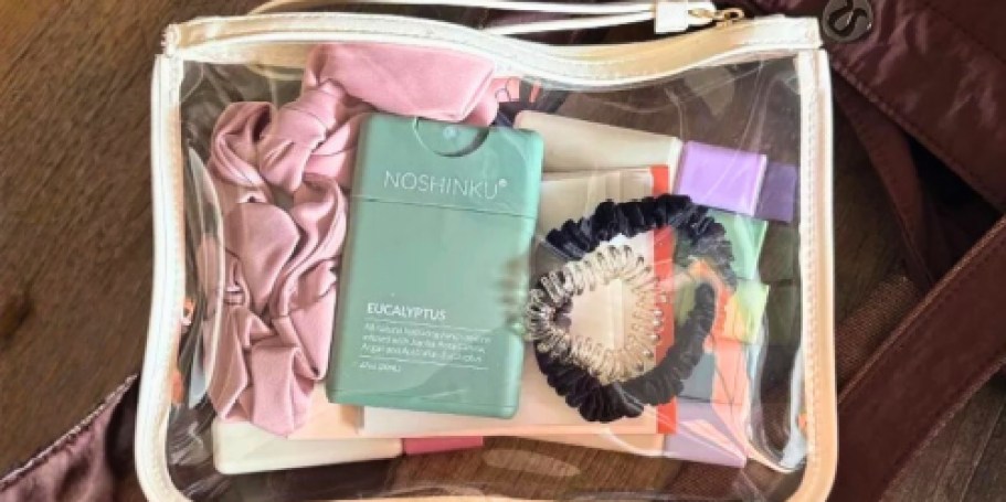 FREE Clear Pouch Wristlet for Target Circle 360 Members
