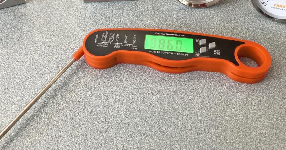 Digital Meat Thermometer Only $3.59 on Amazon (Reg. $10)