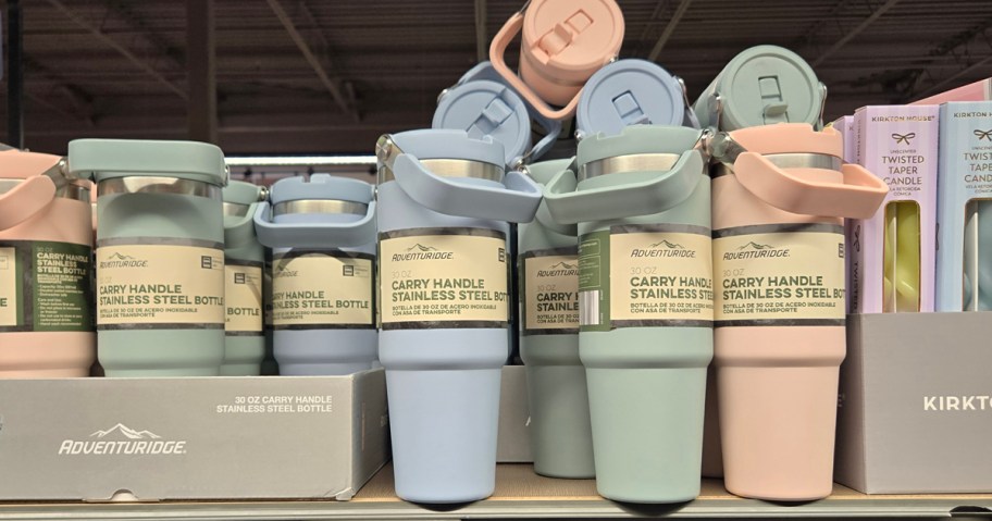 Adventuridge Carry Handle Stainless Steel Bottle