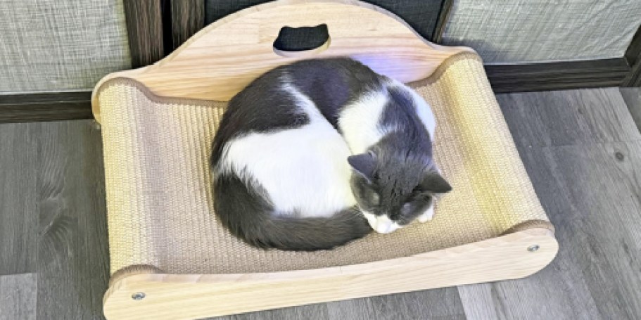 Cat Scratcher Bed Just $17.59 on Amazon (Reg. $32)
