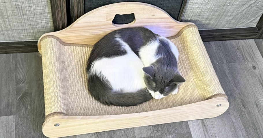 Cat Scratcher Bed Just $17.59 on Amazon (Reg. $32)