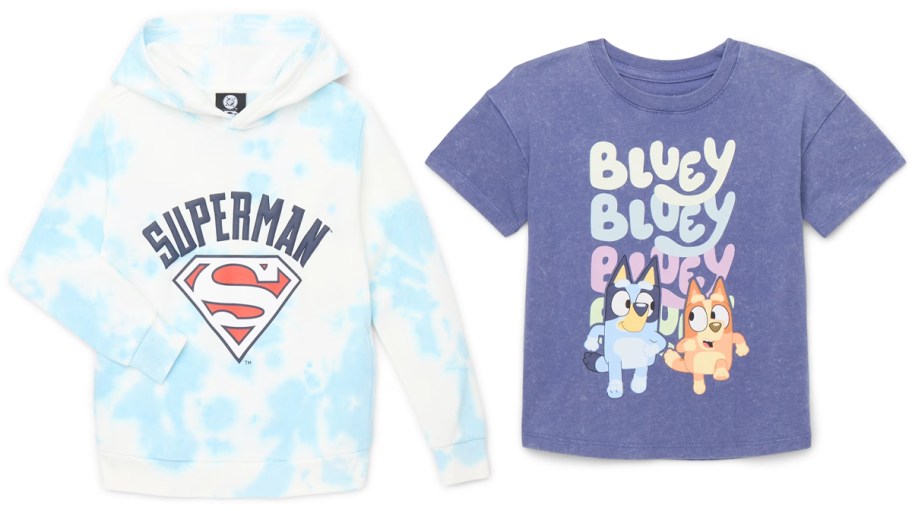 Boys Character Graphic Hoodie, Bluey Toddler Short Sleeve T-Shirt