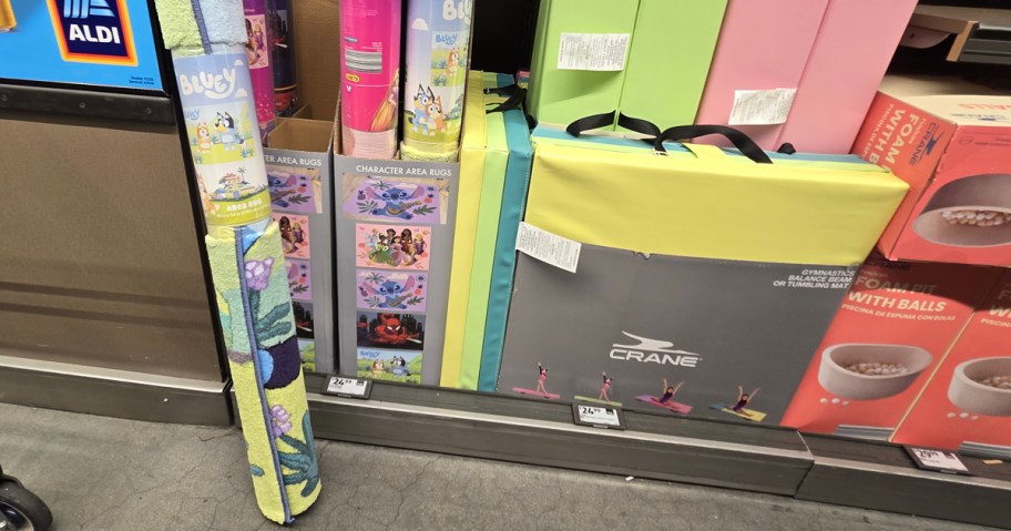 Character Area Rugs and Crane Gymnastics Balance Beam or Tumbling Mat