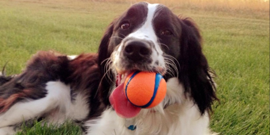 Chuckit! Ultra Ball 2-Pack Only $4.72 Shipped on Amazon (Reg. $9)