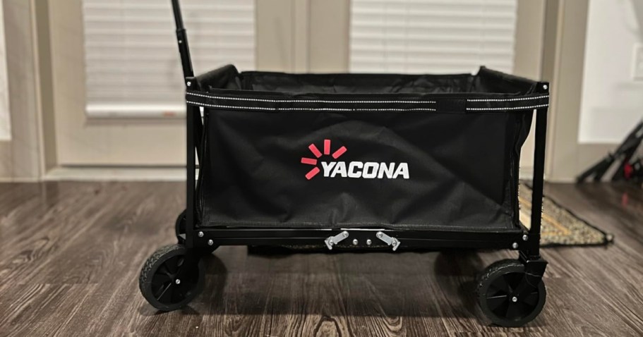 Collapsible Wagon Just $29.98 Shipped on Amazon (Reg. $42)