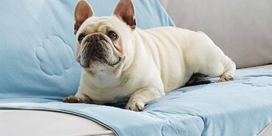 Pet Parents, Don’t Skip This | Cooling Blankets from $13.99 on Amazon