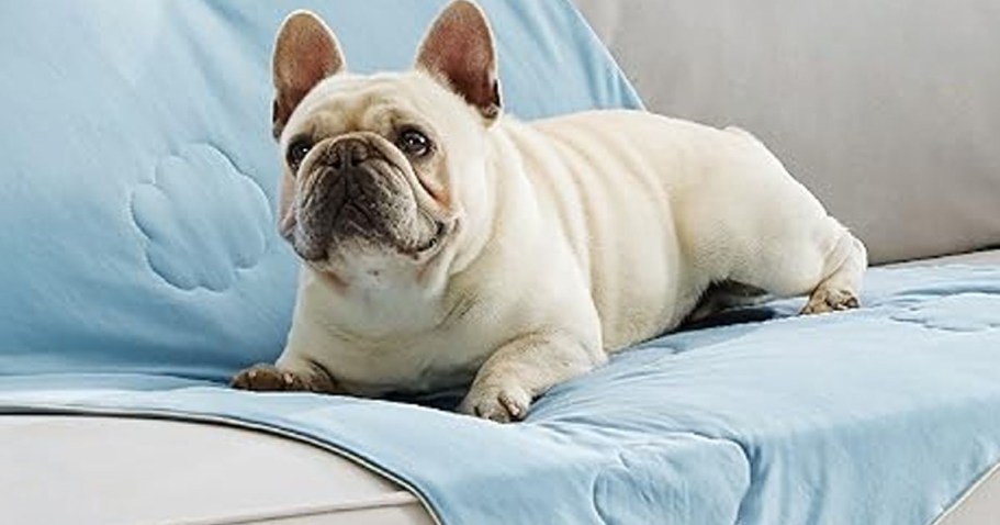 Pet Parents, Don’t Skip This | Cooling Blankets from $13.99 on Amazon