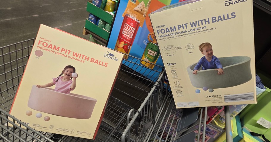 Crane Foam Pit with Balls