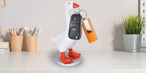 Your Desk Needs This Magnetic Goose That Holds Your Keys & More