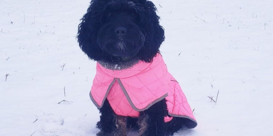 Water-Repellant Pet Coats from $14.49 on Amazon (Reg. $29)
