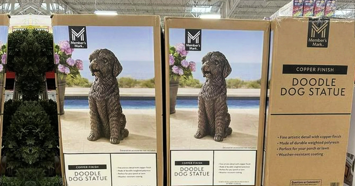 Sam’s Club President’s Day Sale | We Rounded Up The Best Deals