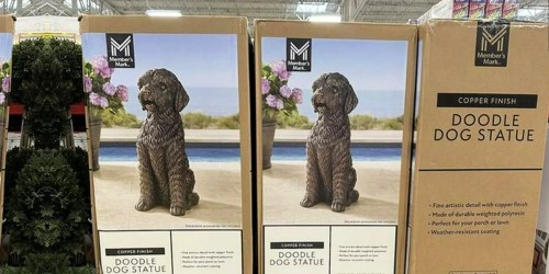 Sam’s Club President’s Day Sale | We Rounded Up The Best Deals