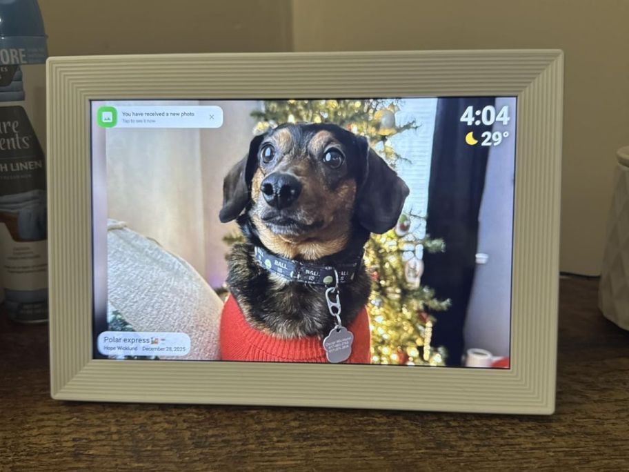 digital picture frame with a picture of a dog on it