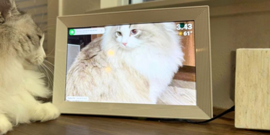 Digital Picture Frame Just $34 Shipped for Amazon Prime Members (Reg. $66)