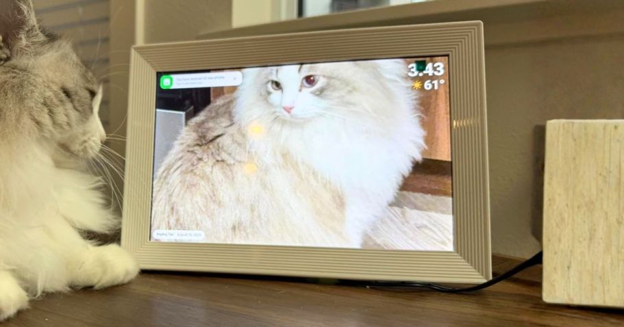 Digital Picture Frame Just $34 Shipped for Amazon Prime Members (Reg. $66)