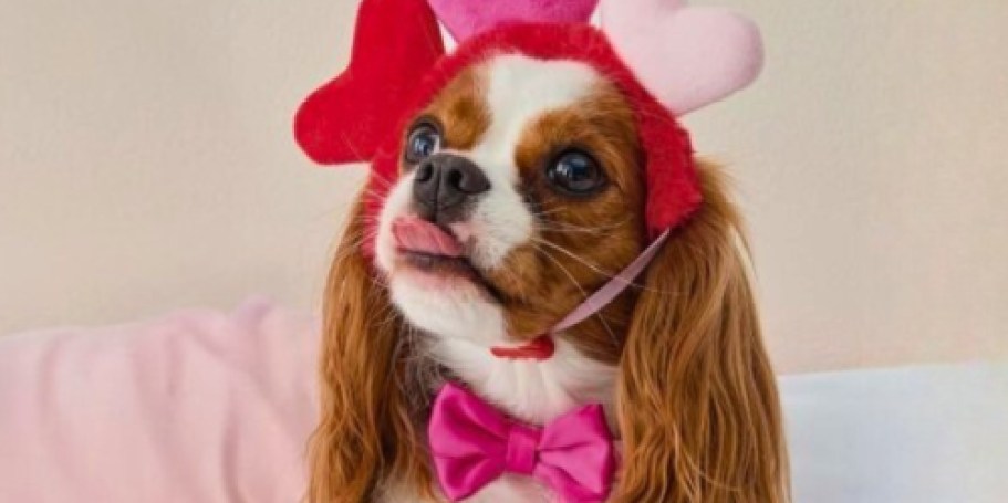 FREE PetSmart Valentine’s Event on 2/14 (Photo Ops & Treats + $5 Coupon)