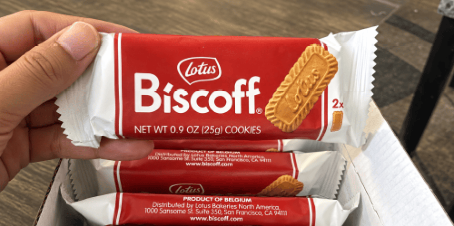 Biscoff XL Cookies 40-Pack Just $9.49 on Amazon (80 Extra Large Cookies!)
