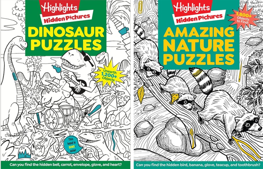 two Highlights Hidden Pictures books