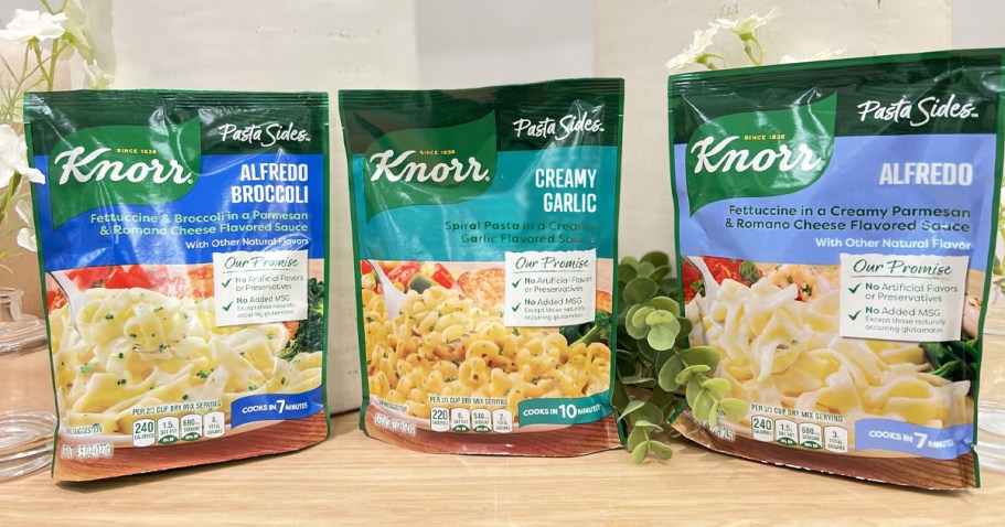 Knorr Pasta & Rice Sides Only 75¢ Shipped on Amazon