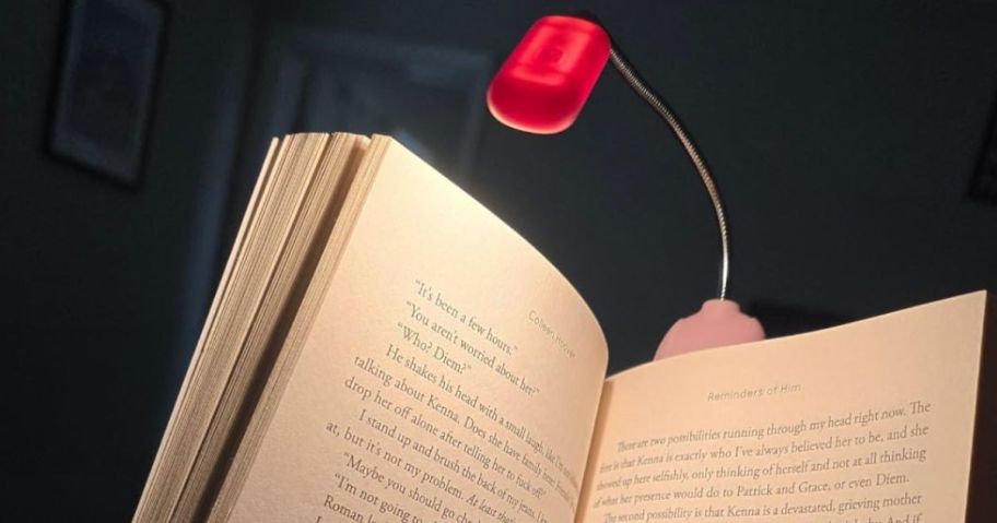 Book with an LED Booklight clipped onto it