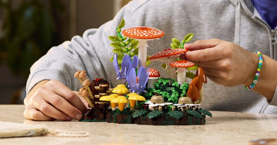 man touching LEGO Botanicals Woodland Mushrooms set on a table