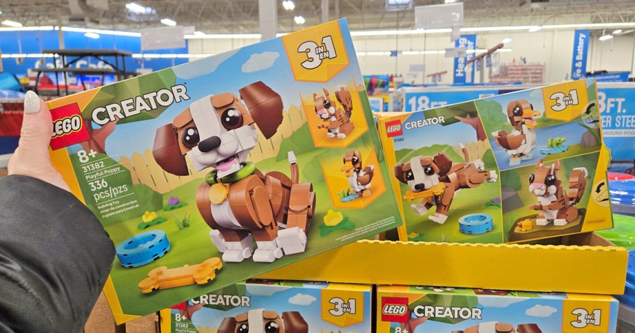 hand holding box for puppy lego set in store