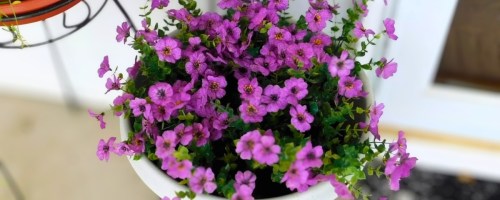 LetuoClips Artificial Flowers in purple sitting in outdoor pot on front porch