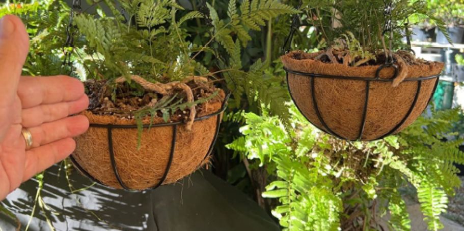 Metal Flower Hanging Basket 2-Pack Only $11.99 on Amazon (Reg. $24)