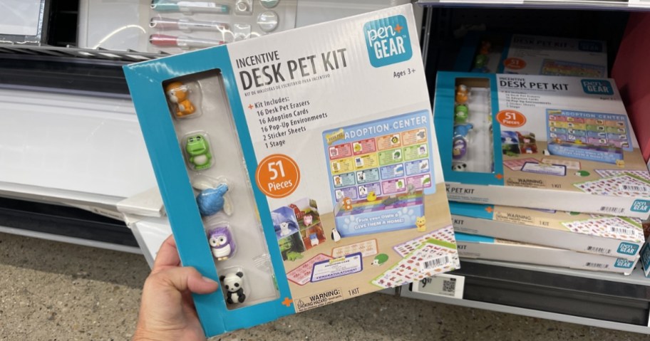 person holding box of pen + gear incentive desk pet kit in store
