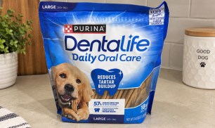 Purina DentaLife Dental Treats 18-Count Only $3.69 Shipped on Amazon (Reg. $11)