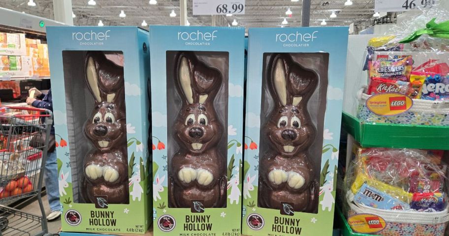 Rochef Chocolatier Large 70.4 oz Easter Bunny in store.