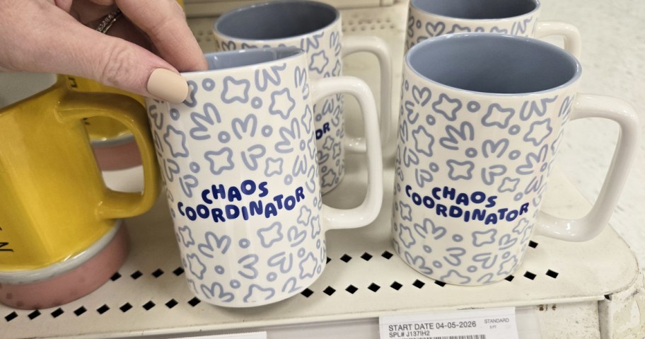 hand holding a white and blue mug that says "Chaos Coordinator"