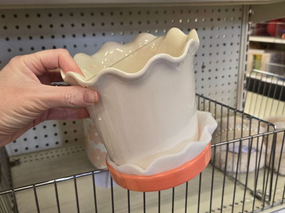 Scalloped Ceramic Planter in hand in store