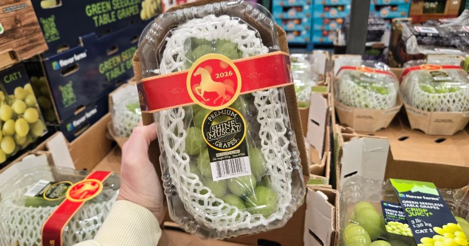 Shine Muscat Grapes package in hand in store