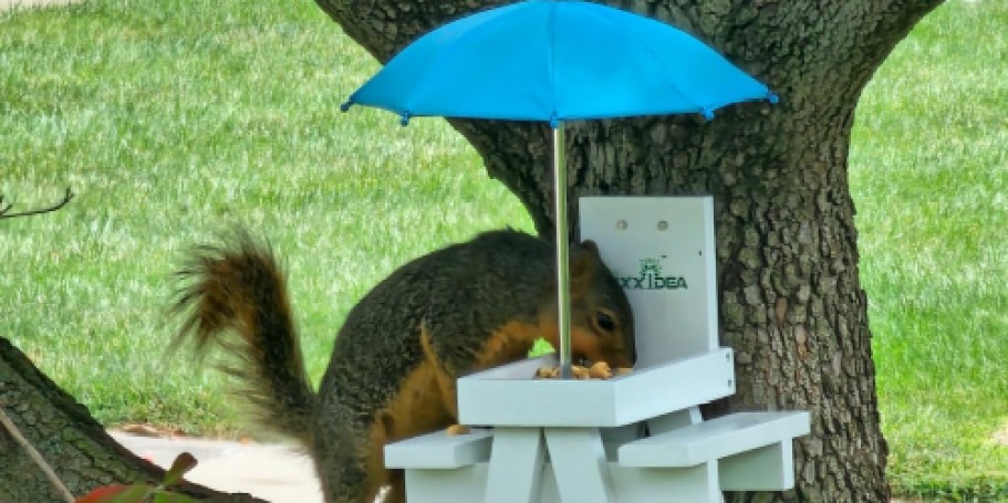Squirrel Feeder Table Just $9.74 Shipped on Amazon