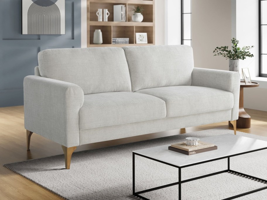 A modern living room with a light gray sofa on wooden legs, set on a beige rug. A black and white coffee table is in front, with bookshelf and plant decor.