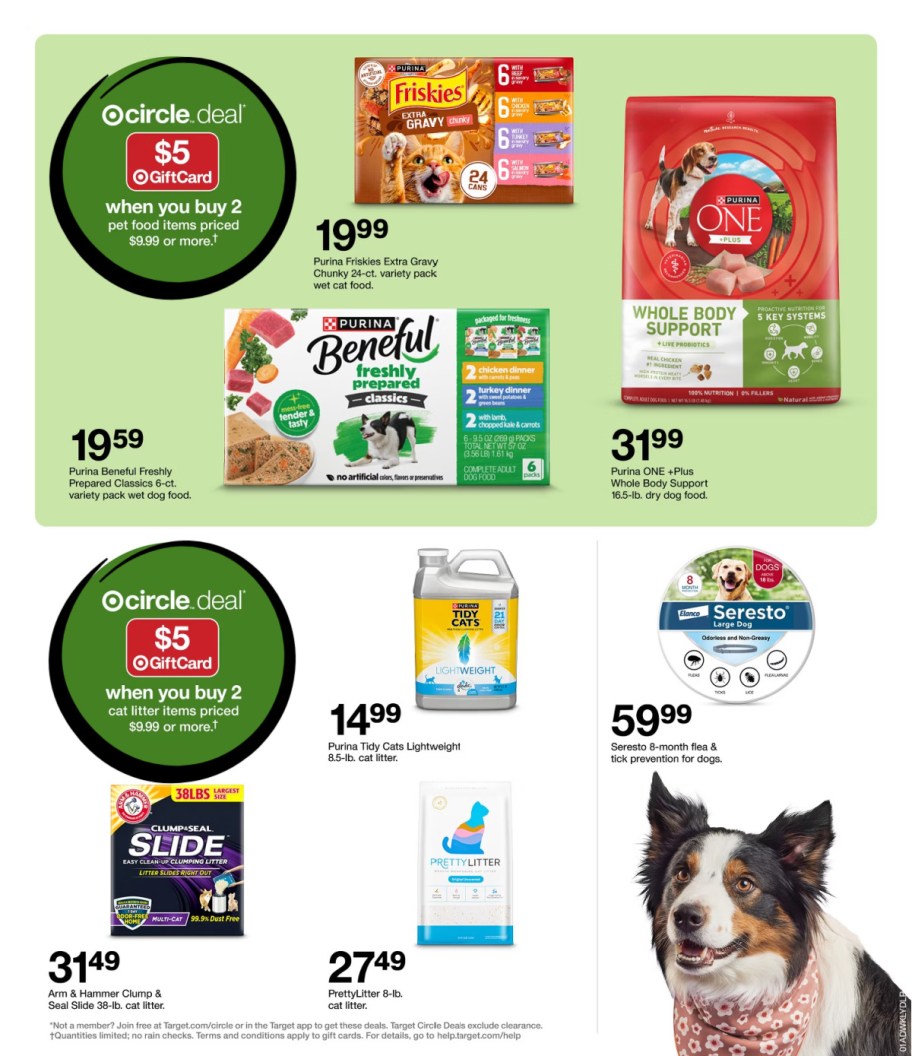 page from Target ad