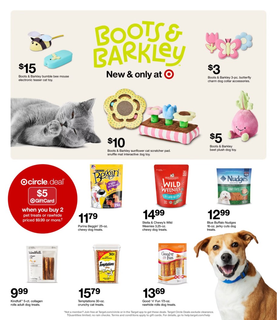 page from Target ad