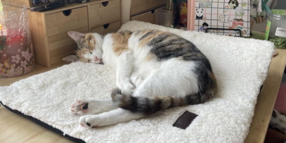 Self-Warming Pet Bed Only $13.79 on Amazon (Regularly $23)