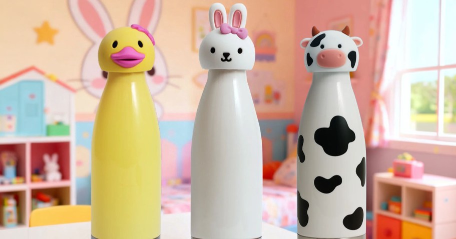 NEW Way to Celebrate Easter Bottles & Tumblers from $3.92 on Walmart.com