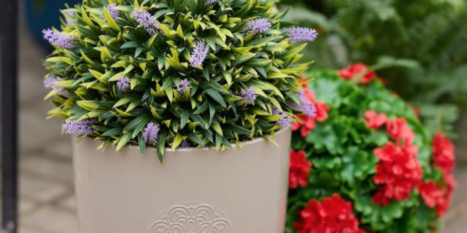 These Faux Florals Look Real Without the Hassle & They’re On Sale!