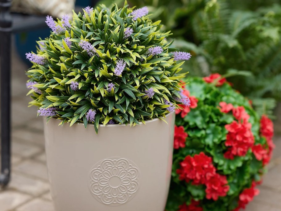 These Faux Florals Look Real Without the Hassle & They’re On Sale!