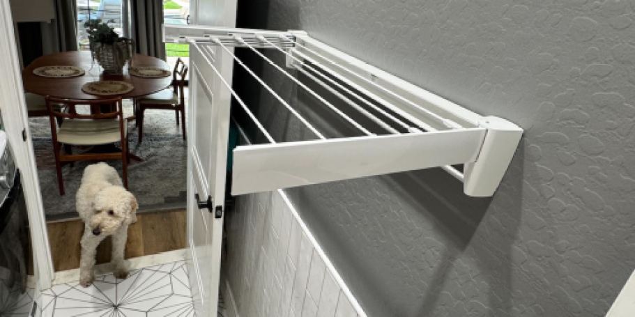 10 Totally Random Things Our Team Bought on Amazon Today